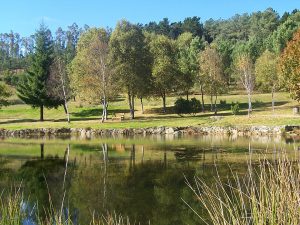 Monte Pedroso en Santiago de Compostela, una de las zonas naturales para caminar cerca de la ciudad